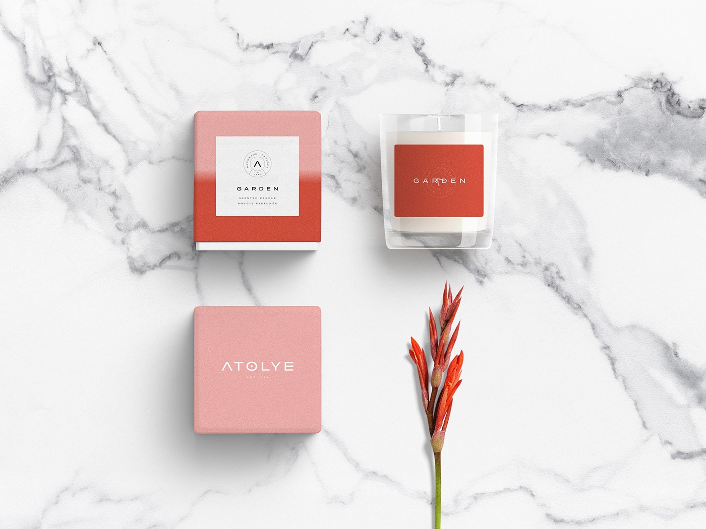 產(chǎn)品包裝設(shè)計(jì)